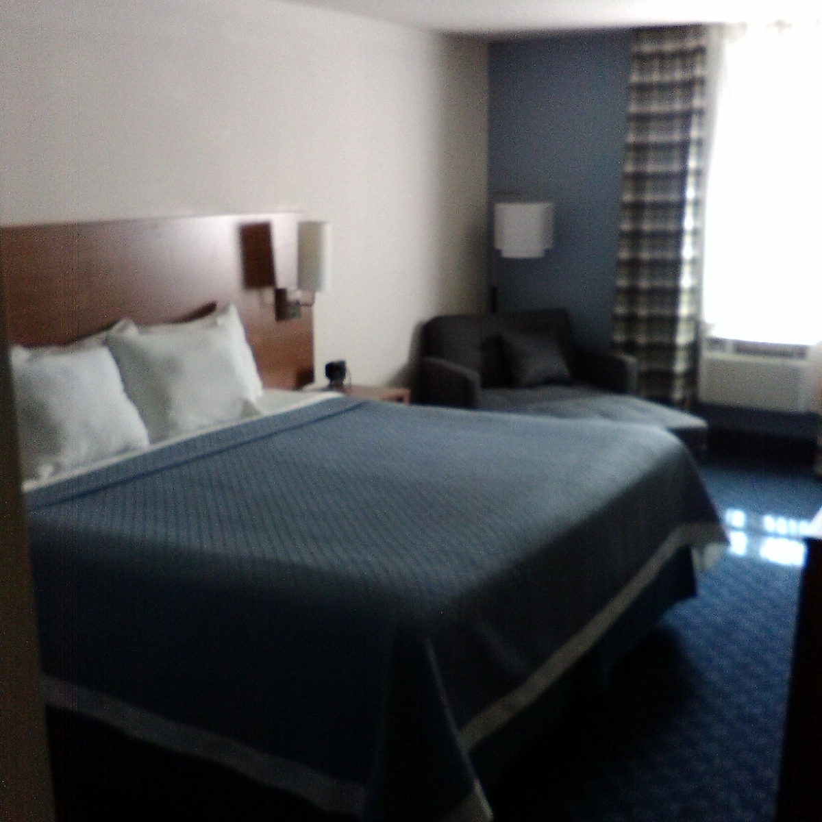 1 King Bed Room